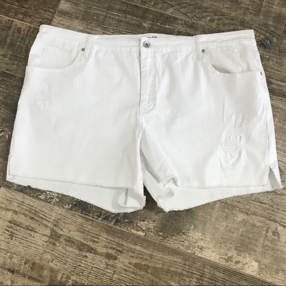 terra and sky jean shorts